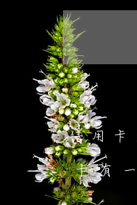 信用卡逾期一張和多張(有多個(gè)信用卡,有一個(gè)逾期記錄了,怎么辦)