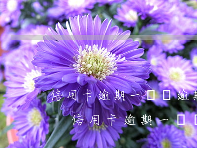 信用卡逾期一張與逾期多張的區(qū)別-信用卡逾期一張與逾期多張的區(qū)別是什么