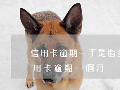 信用卡逾期一手是指多長時間(2016年信用卡逾期一個月)