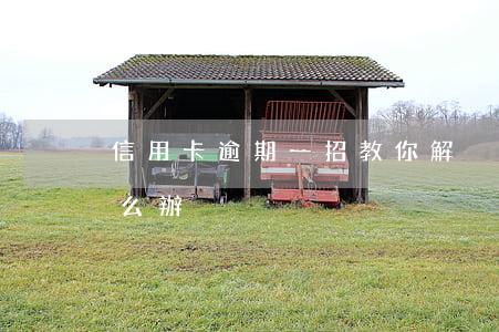 信用卡逾期一招教你解決(信用卡面臨逾期怎么辦)