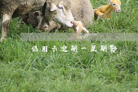 信用卡逾期一星期影響貸款嗎