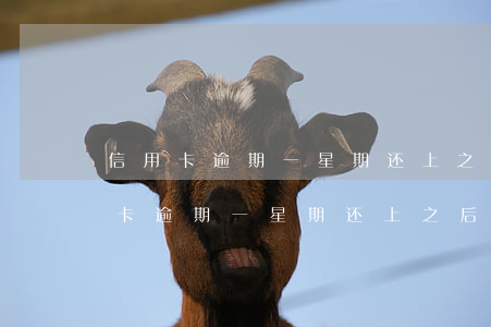 信用卡逾期一星期还上之后还可以用-信用卡逾期一星期还上之后还可以用吗