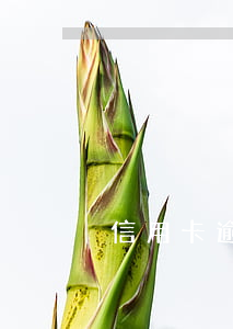 信用卡逾期一星期還能刷出來(lái)嗎