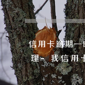 信用卡逾期一時(shí)還不上該如何處理-我信用卡逾期還不上怎么辦