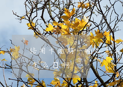 信用卡逾期一晚上怎么辦 信用卡逾期一晚上怎么辦啊