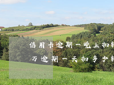 信用卡逾期一晚上扣钱了怎么办-信用卡3万逾期一天扣多少钱
