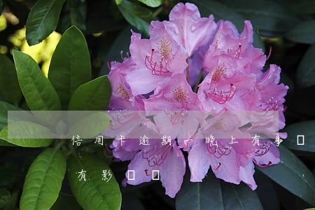 信用卡逾期一晚上有事嗎(信用卡逾期一小時有影響嗎)