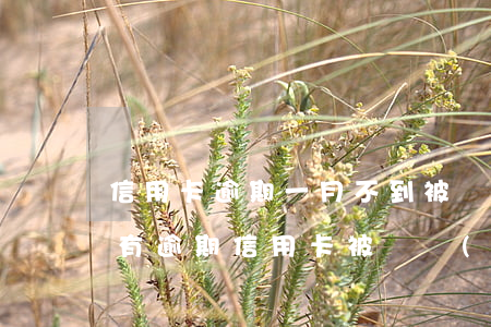 信用卡逾期一月不到被凍結(jié)(征信有逾期信用卡被凍結(jié))