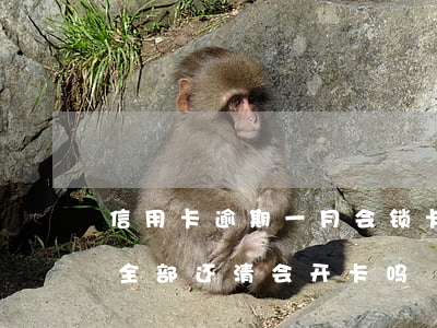 信用卡逾期一月会锁卡吗(信用卡逾期被锁卡全部还清会开卡吗)