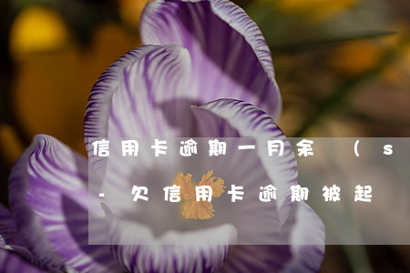 信用卡逾期一月余說(shuō)法院傳票-欠信用卡逾期被起訴了 法院寄傳票寄到哪里
