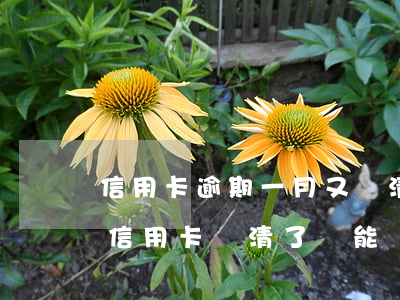 信用卡逾期一月又還清還能用嗎(逾期很久的信用卡還清了還能繼續(xù)用嗎?)