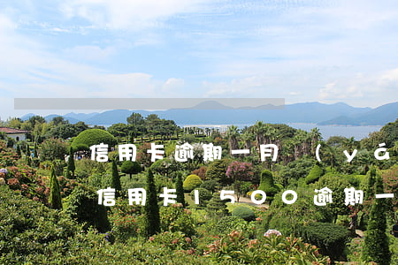 信用卡逾期一月嚴(yán)重嗎8000 信用卡1500逾期一月嚴(yán)重嗎