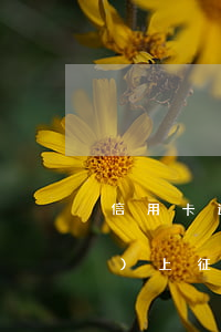 信用卡逾期一月會(huì)不會(huì)上征信 信用卡逾期一月會(huì)不會(huì)上征信黑名單