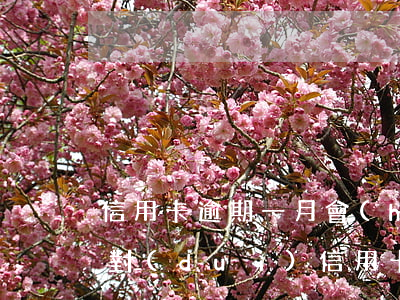 信用卡逾期一月會(huì)封嗎 逾期一次對(duì)信用卡有影響嗎