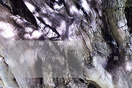 信用卡逾期一月會(huì)有影響嗎(一個(gè)銀行的信用卡逾期會(huì)影響別的信用卡嗎)