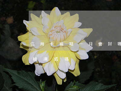信用卡逾期一月會封嗎(信用卡逾期一個月會被凍結嗎)