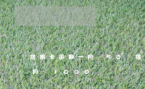信用卡逾期一月還50遠(信用卡逾期五萬每月還1000)