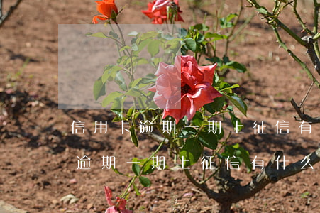 信用卡逾期一期上征信有什么影響-信用卡逾期一期上征信有什么影響嗎