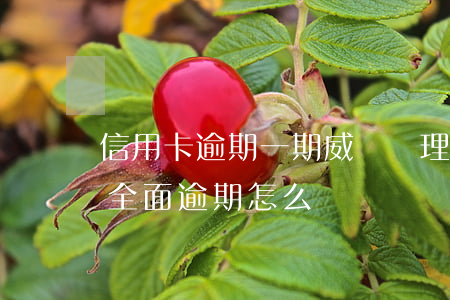 信用卡逾期一期威脅處理全款-5張信用卡全面逾期怎么辦