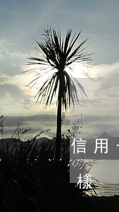 信用卡逾期一期怎么樣(信用卡逾期一期怎么樣)