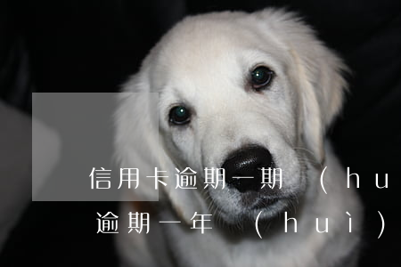 信用卡逾期一期會(huì)怎么樣(信用卡逾期一年會(huì)怎么樣)