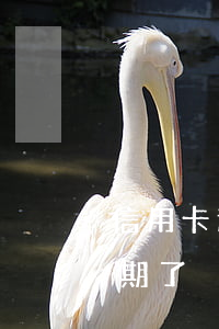 信用卡逾期一期有什么影響(什么叫信用卡逾期了)