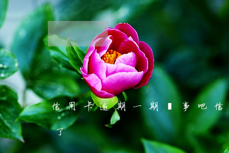 信用卡逾期一期沒事吧(信用卡逾期這輩子完了)