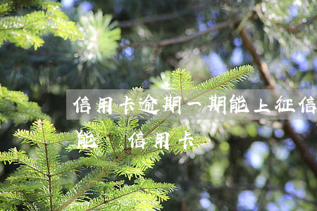 信用卡逾期一期能上征信嗎(征信有一條逾期能辦信用卡嗎)