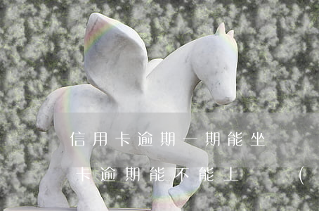 信用卡逾期一期能坐飛機(jī)嗎(我信用卡逾期能不能上飛機(jī))
