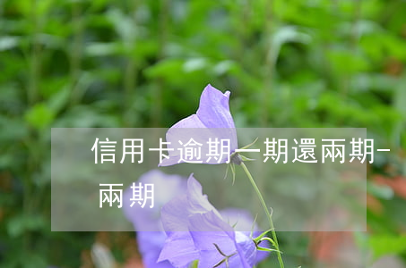 信用卡逾期一期還兩期-信用卡逾期一期還兩期
