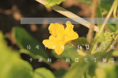 信用卡逾期一期還完了能正常使用嗎-信用卡逾期一期還完了能正常使用嗎知乎