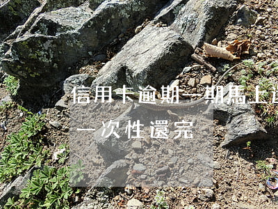 信用卡逾期一期馬上還清(信用卡逾期大半年一次性還完)