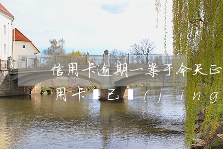 信用卡逾期一案于今天正式備案審核-欠信用卡說已經(jīng)在法院備案會(huì)多久立案