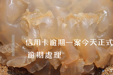 信用卡逾期一案今天正式審核 最新的信用卡逾期處理