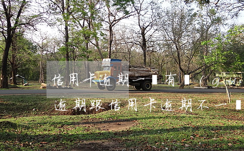 信用卡逾期一條有關(guān)系嗎(貸款逾期跟信用卡逾期不一樣)