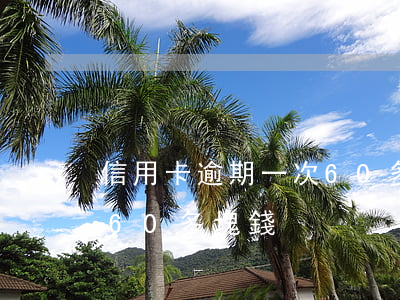 信用卡逾期一次60多塊錢(信用卡逾期一次60多塊錢)