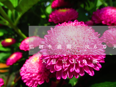 信用卡逾期一次60天影響房貸(房貸逾期60天 征信怎么辦)