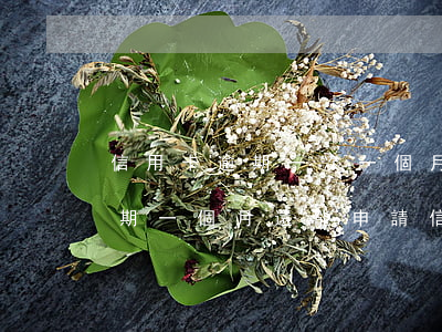 信用卡逾期一次一個月嚴(yán)重嗎(逾期一個月還能申請信用卡嗎)