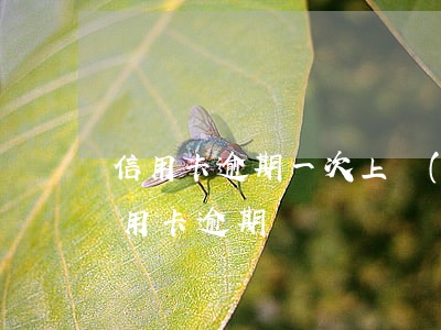 信用卡逾期一次上報(bào)了怎么辦(信用卡逾期)