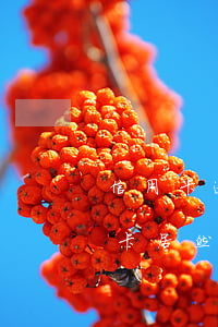 信用卡逾期一次上黑名單嗎(黑名單辦理信用卡居然過了)