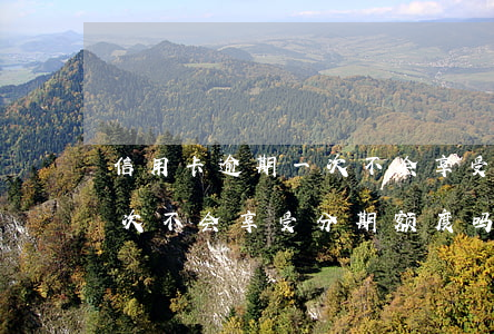 信用卡逾期一次不会享受分期(信用卡逾期一次不会享受分期额度吗)
