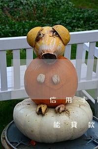 信用卡逾期一次不能貸款(信用卡逾期一次不能貸款買房了)