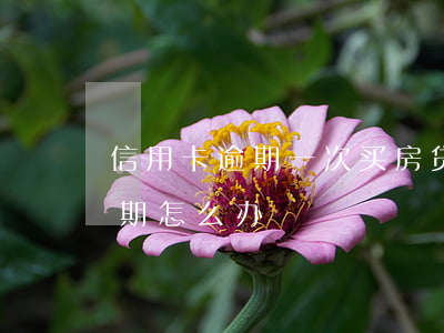 信用卡逾期一次买房贷款(购房贷款有一次逾期怎么办)