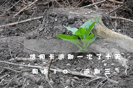 信用卡逾期一次了十天嚴(yán)重嗎 信用卡10萬逾期三個(gè)月怎么辦
