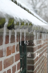 信用卡逾期一次什么影響(貸款逾期與信用卡逾期的后果是什么)
