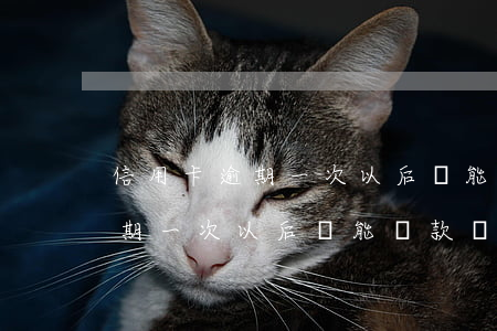 信用卡逾期一次以后還能貸款嗎-信用卡逾期一次以后還能貸款嗎知乎