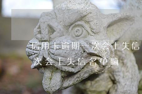 信用卡逾期一次会上失信名单(信用卡逾期一次会上失信名单嘛)