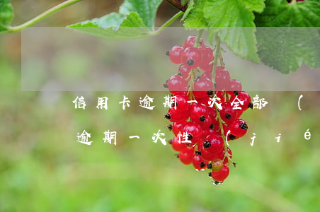 信用卡逾期一次全部結(jié)清(信用卡逾期一次性結(jié)清有減免嗎)