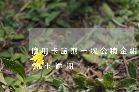 信用卡逾期一次公積金組合貸(公積金貸款信用卡逾期)