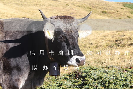 信用卡逾期一次可以办理车贷吗(贷款逾期可以办车贷吗)